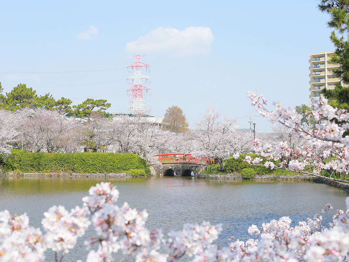 亀城公園