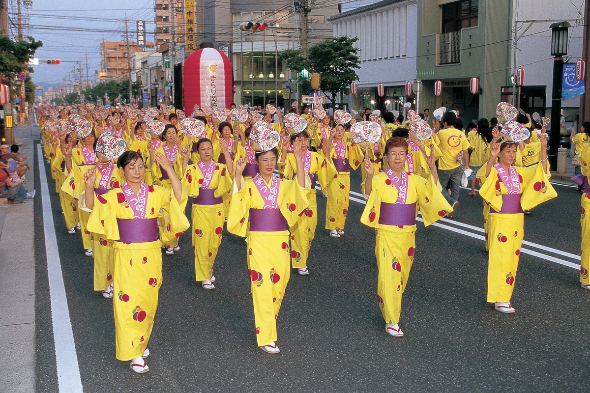 岡崎城下家康公夏まつり