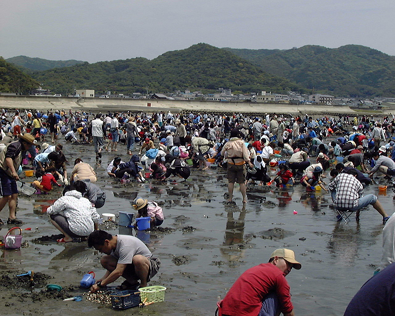 西はず鳥羽海岸