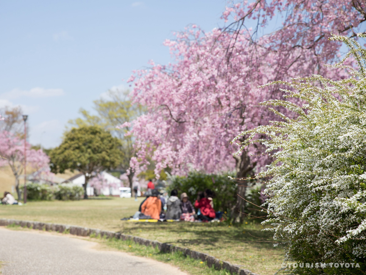 水源公園