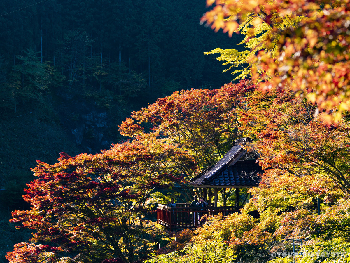 大井平公園4