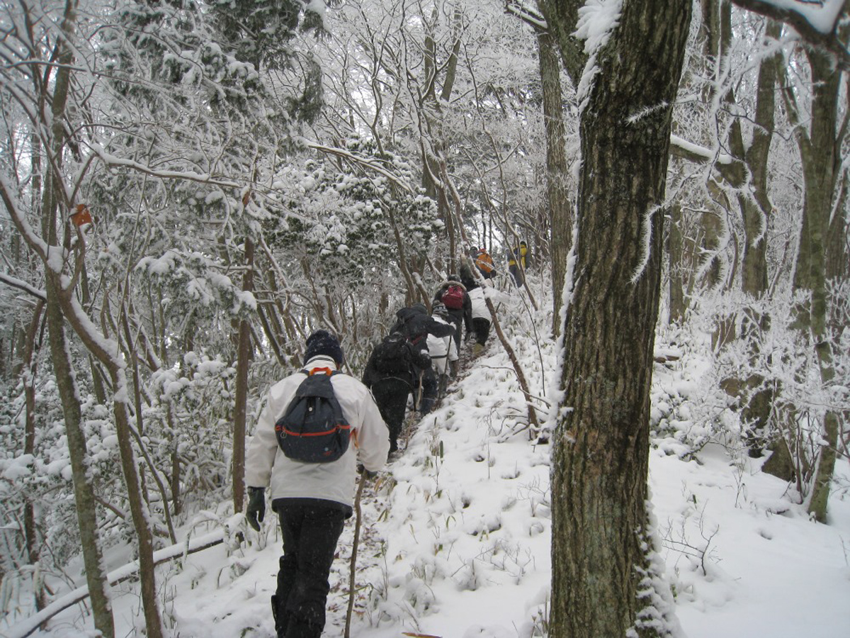 夏焼城ヶ山元旦登山