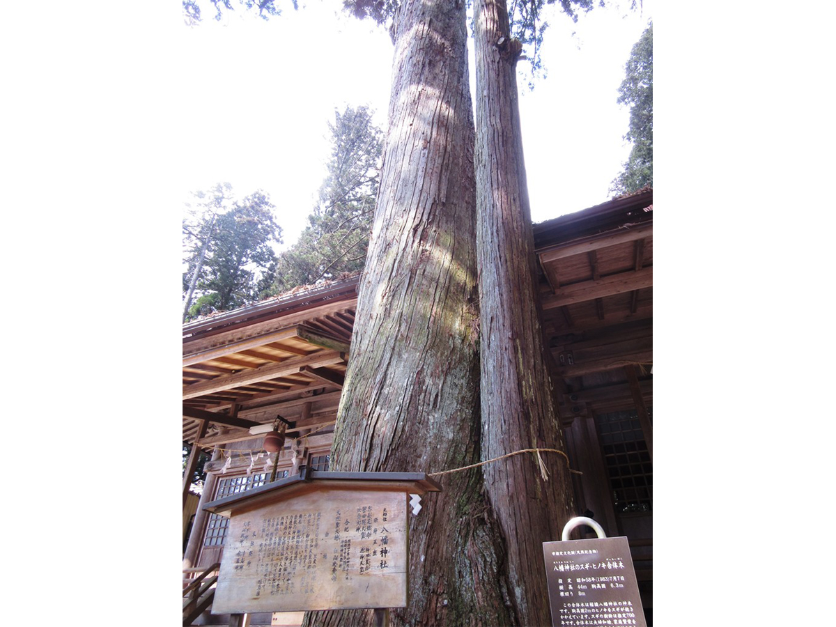 八幡神社2