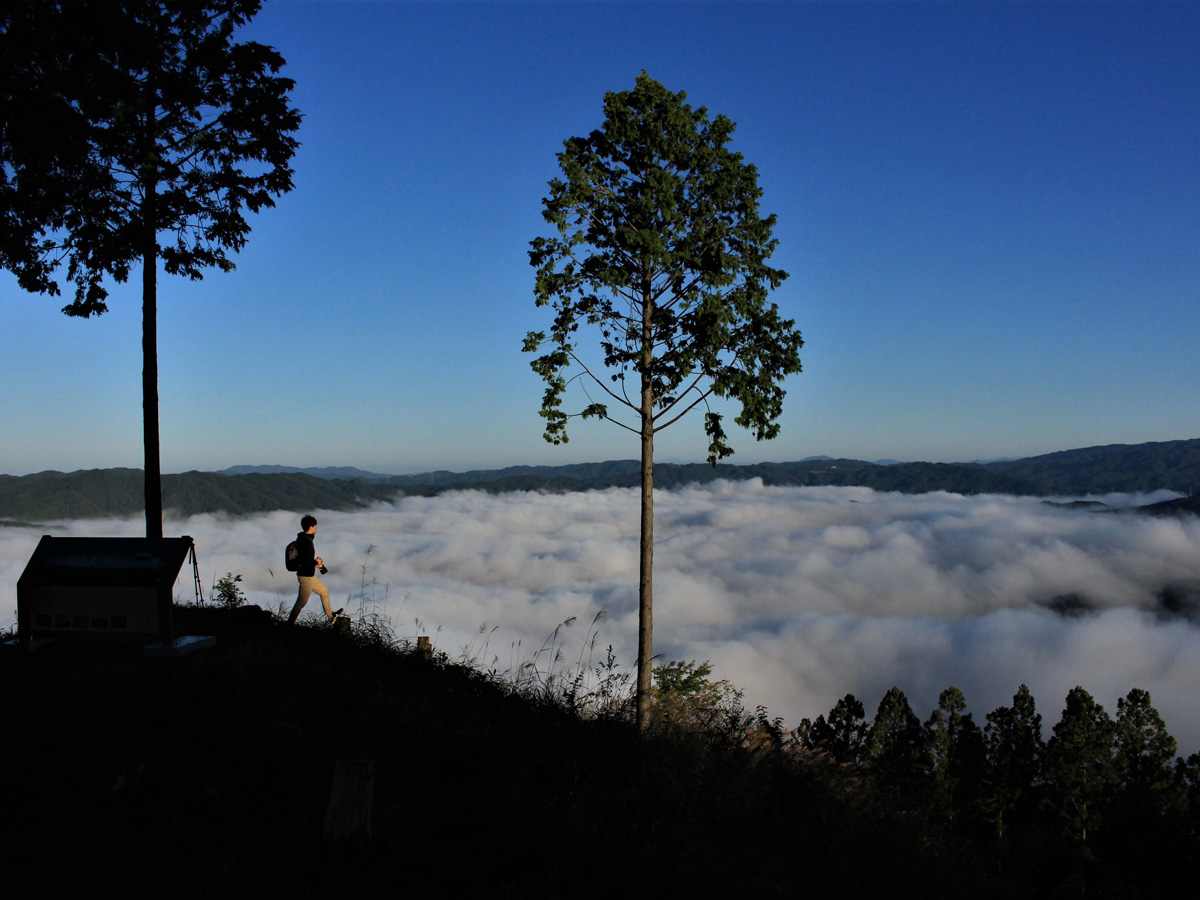 押山　雲海