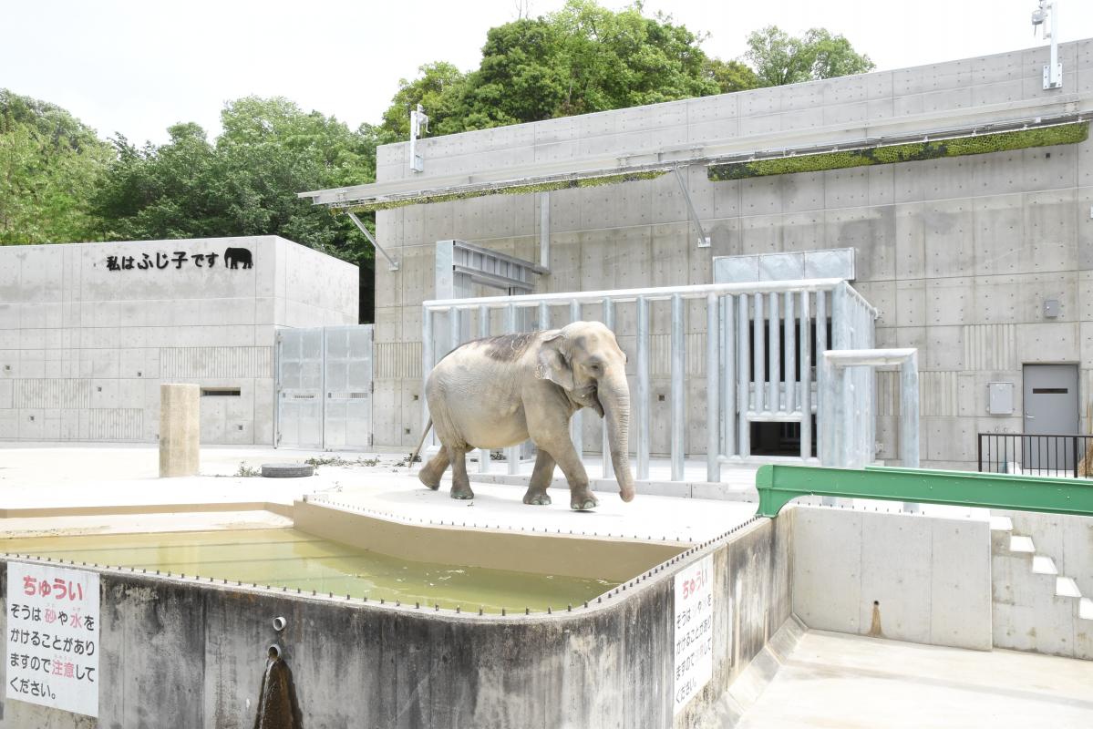 東公園（動物園）