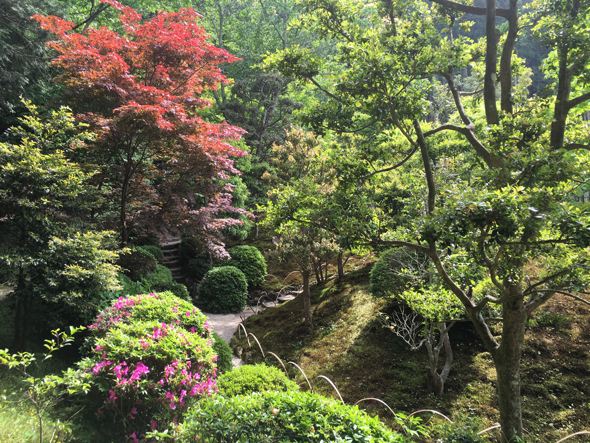 奥殿陣屋（旧奥殿藩陣屋跡）