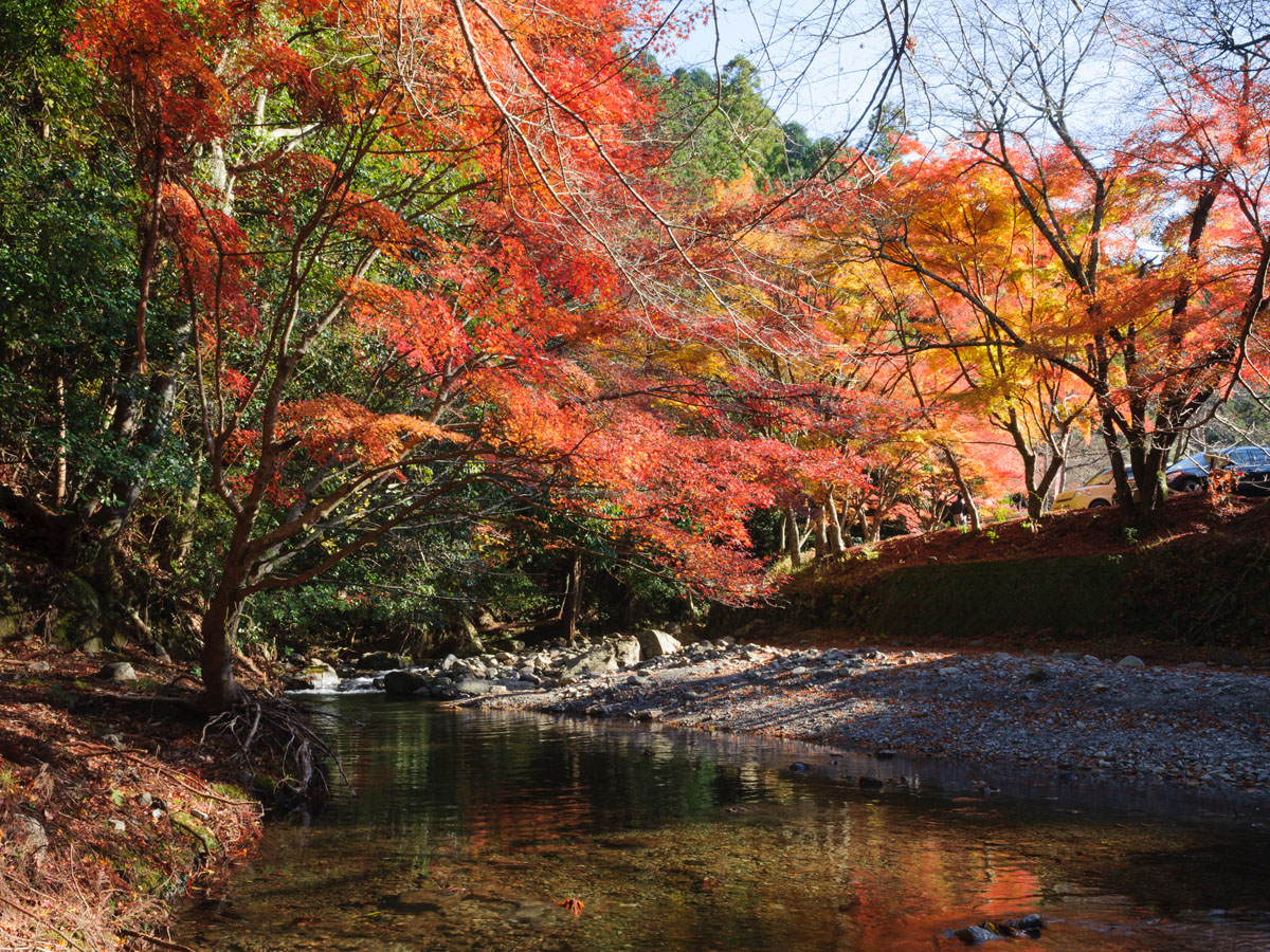 くらがり渓谷紅葉まつり