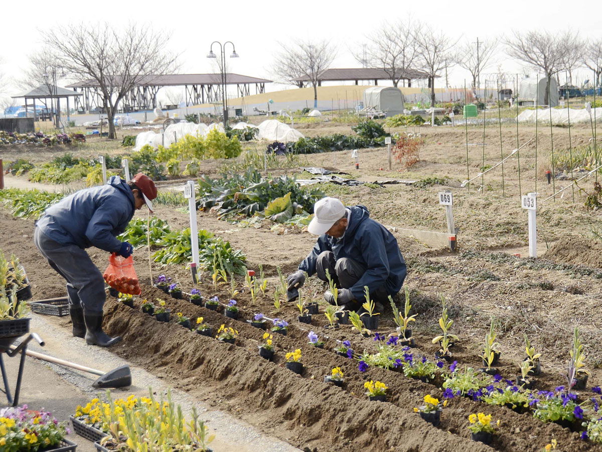 緑と花のセンター「さんさんの郷」