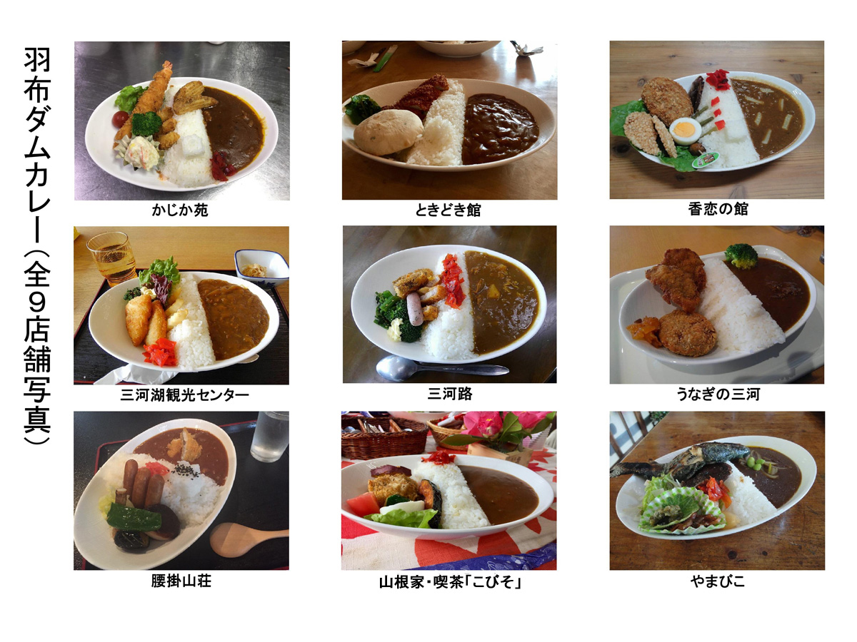 羽布ダムカレー