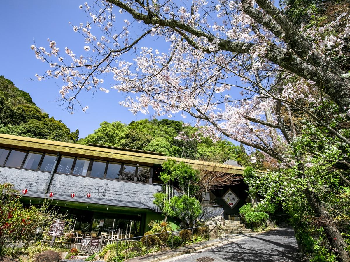 猿投温泉 日帰り温泉 岩風呂 金泉の湯