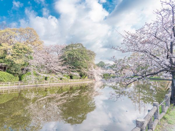 亀城公園