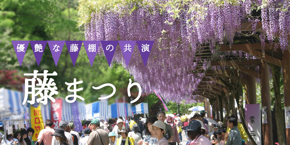 西三河の藤まつり特集