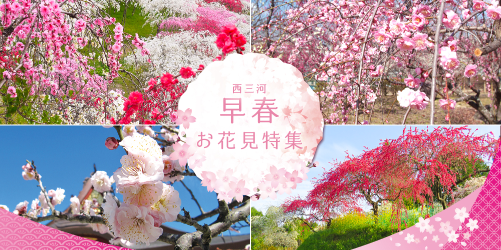 早春のお花見特集