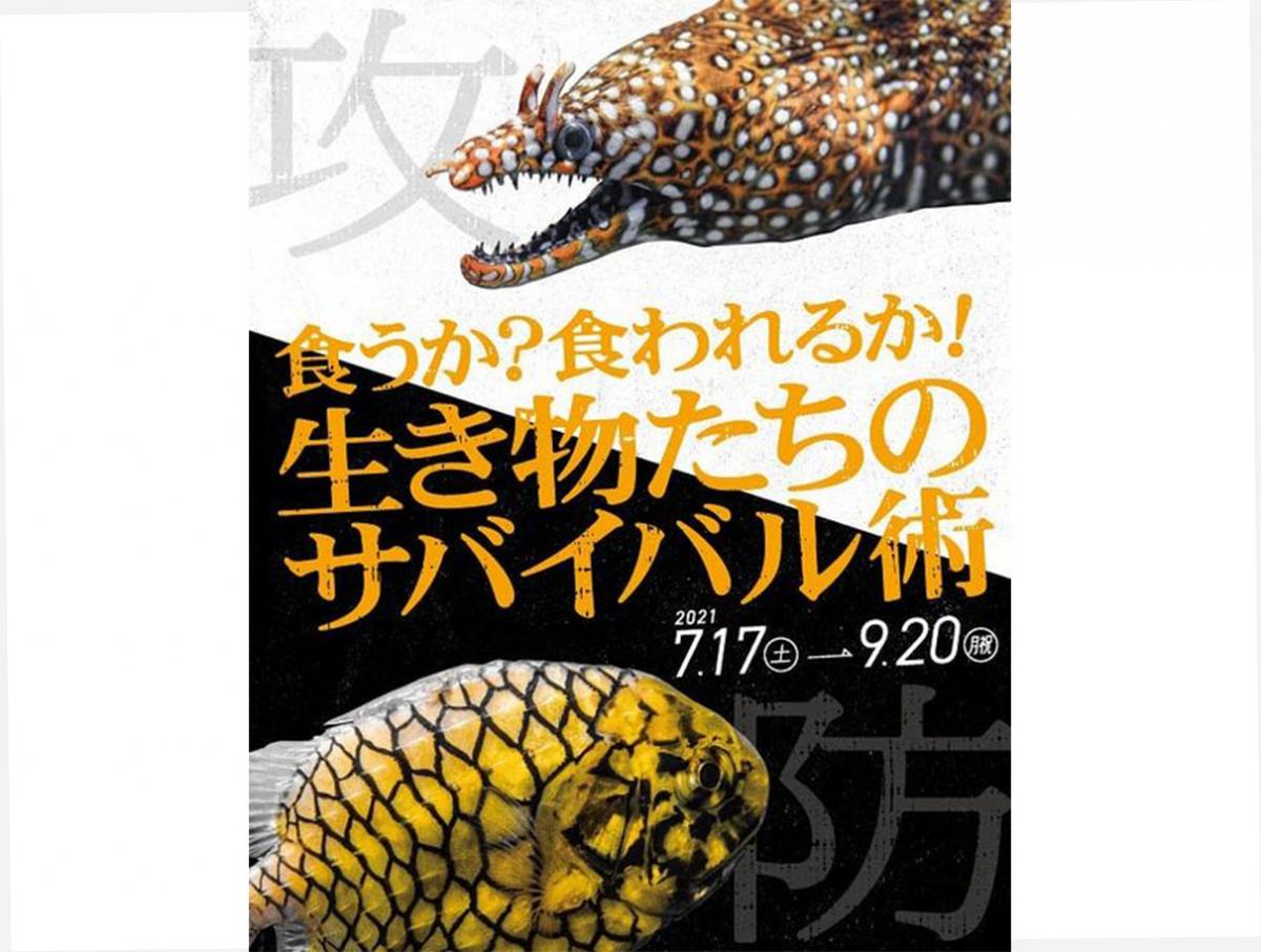 食うか?食われるか!〜生き物たちのサバイバル術〜