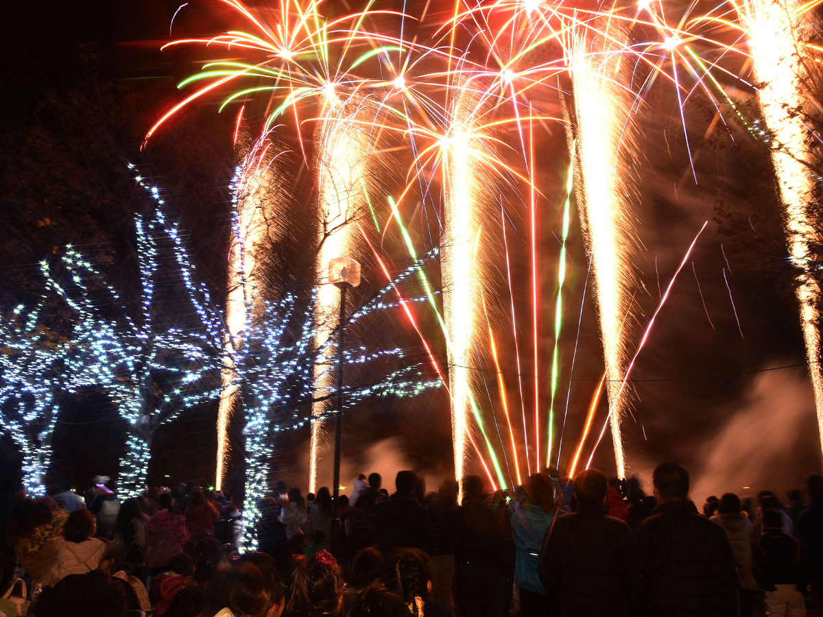 ラヴァーズストリート 10th Anniversary ～メモリアルイルミネーションin保田ヶ池～