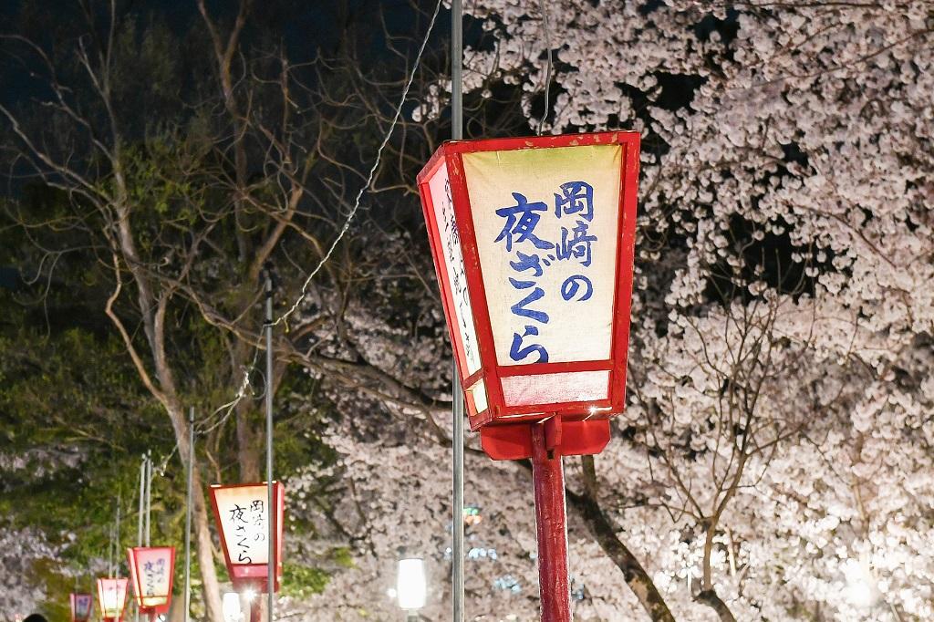 「桜まつり」「家康行列」