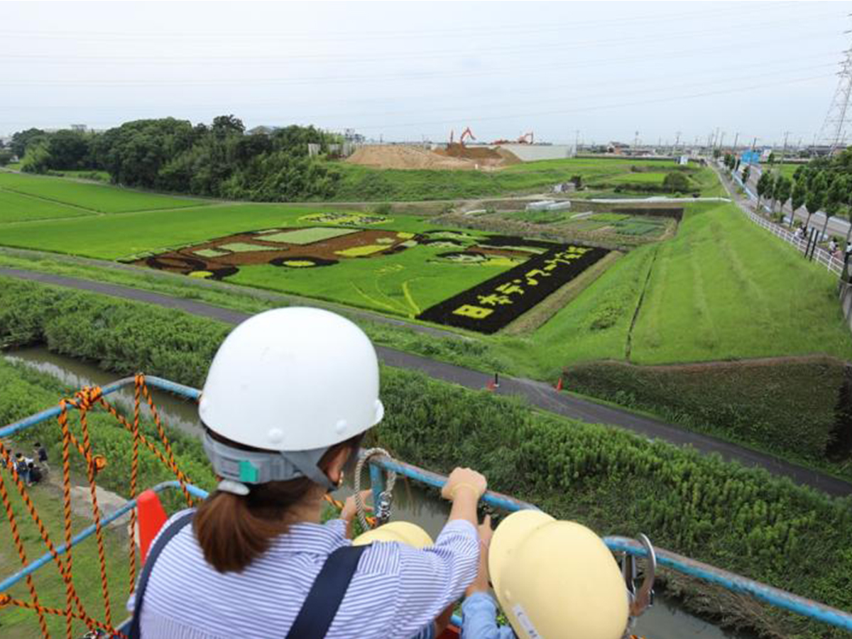 ふれあい田んぼアート2021鑑賞会