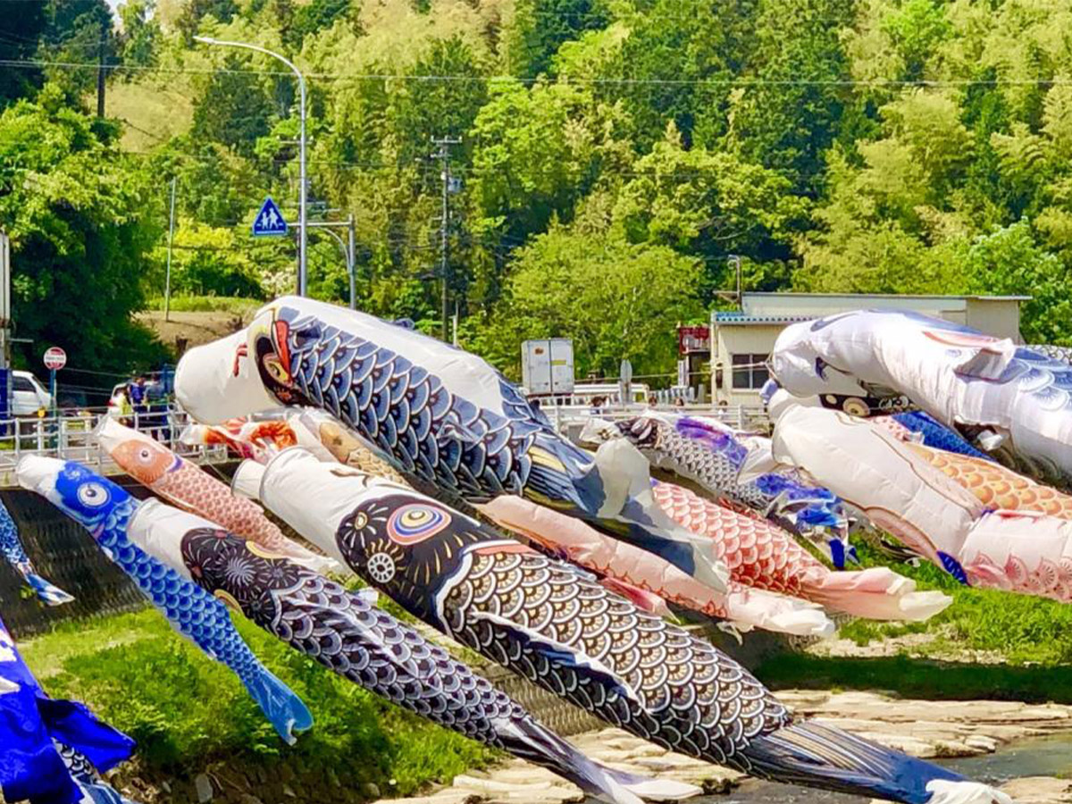 青木川のこいのぼり