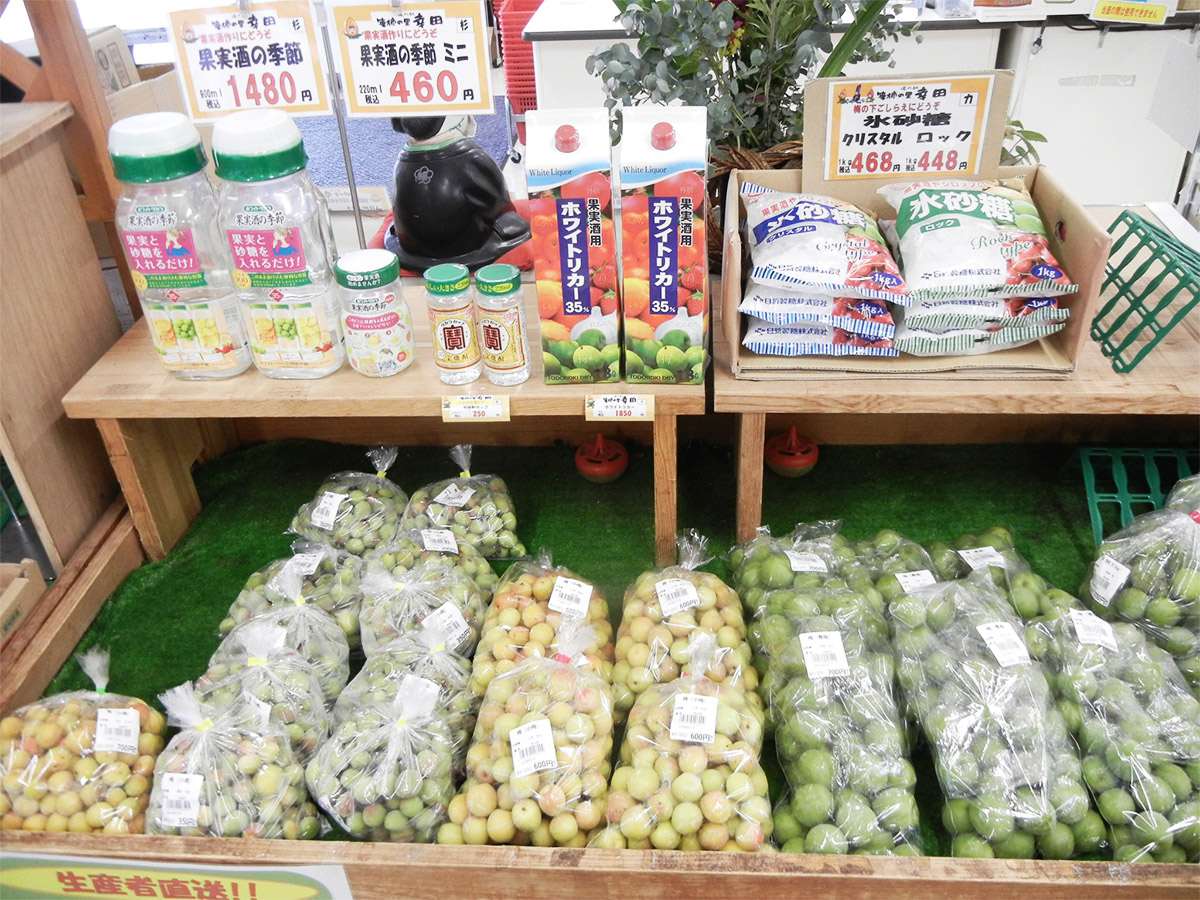 梅の入荷