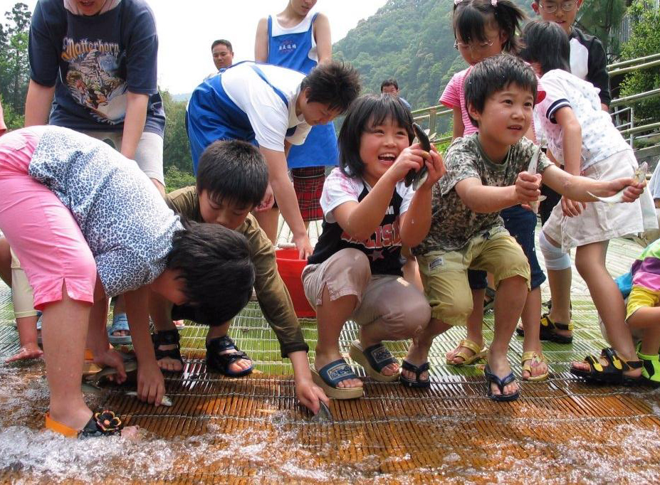 男川やな「鮎つかみ取り」