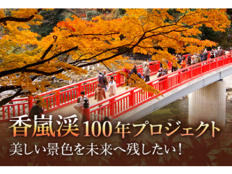 クラウドファンディング型ふるさと寄附金