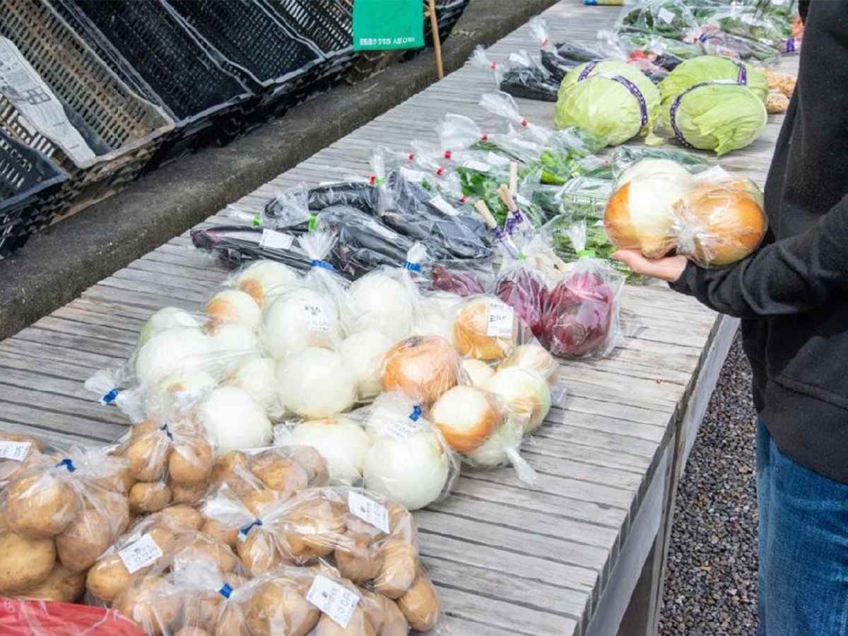 新鮮野菜の朝市