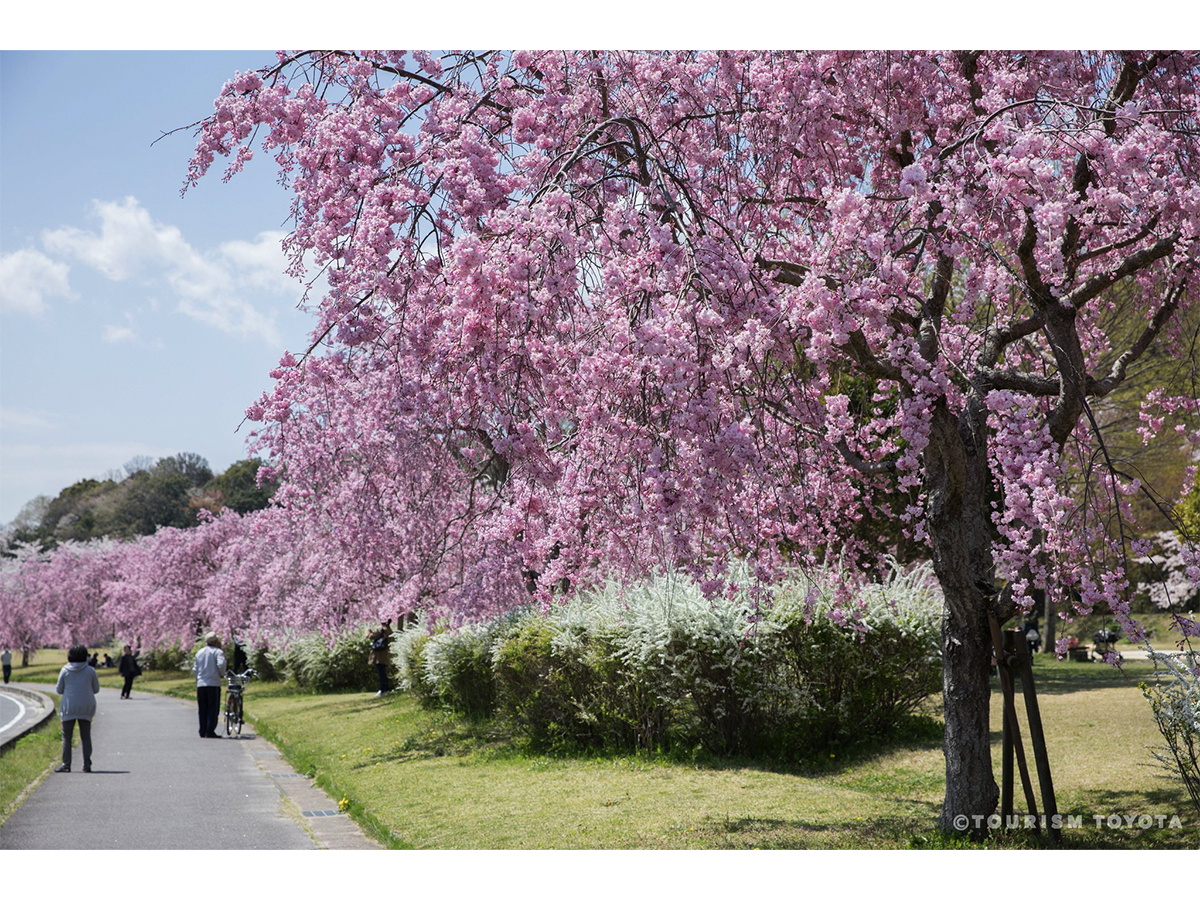 水源公園