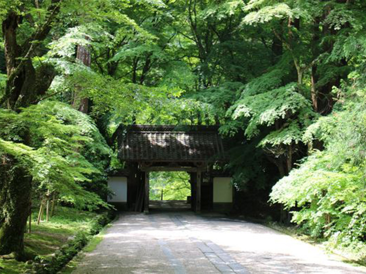 香嵐渓の青紅葉