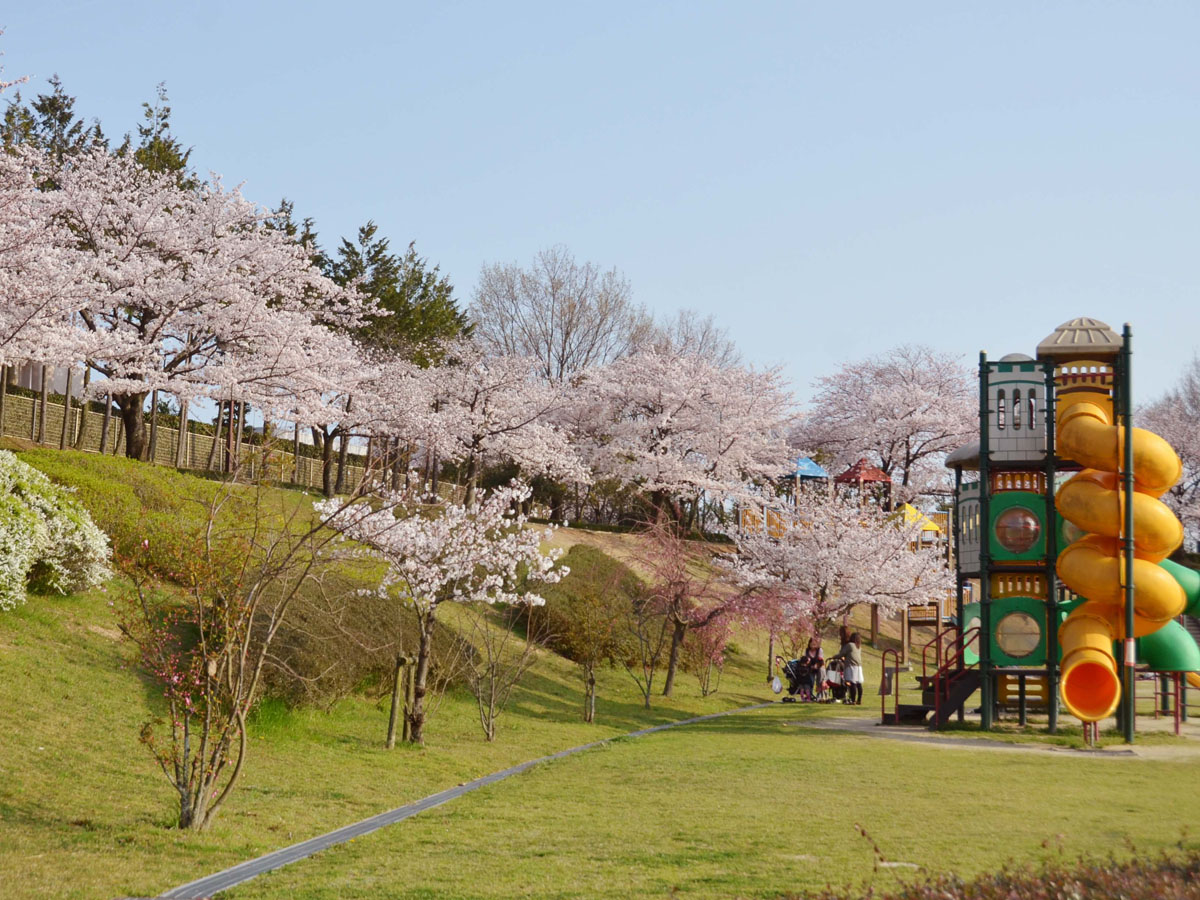 細口公園　梅の園
