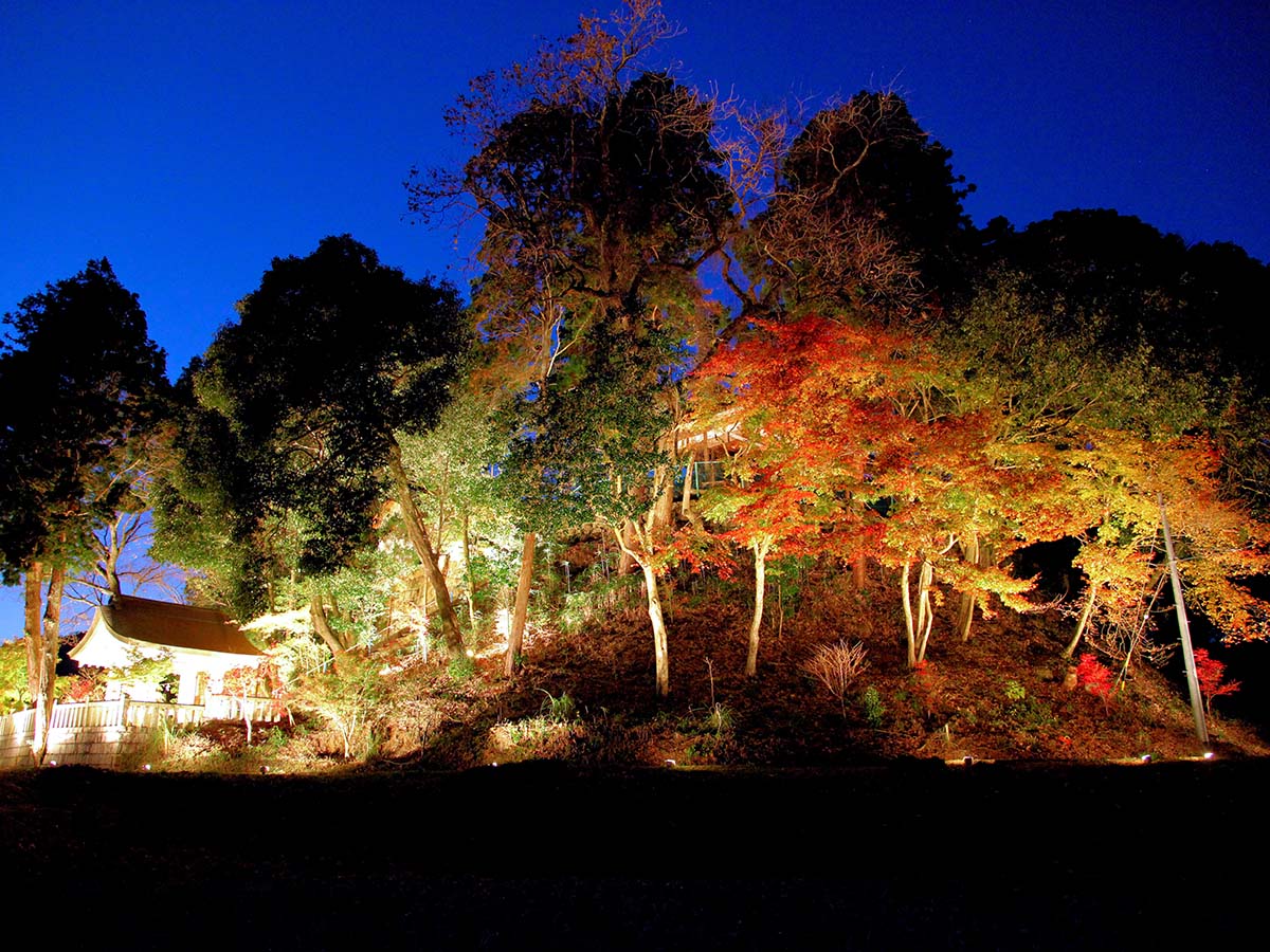 ふじおか紅葉まつりのライトアップ