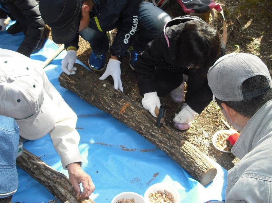 しいたけの菌打ち体験＆里山に登ろう！