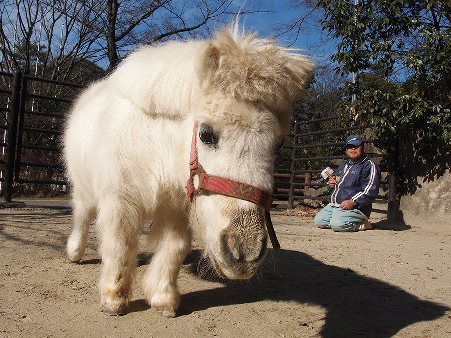 東公園動物園写真展