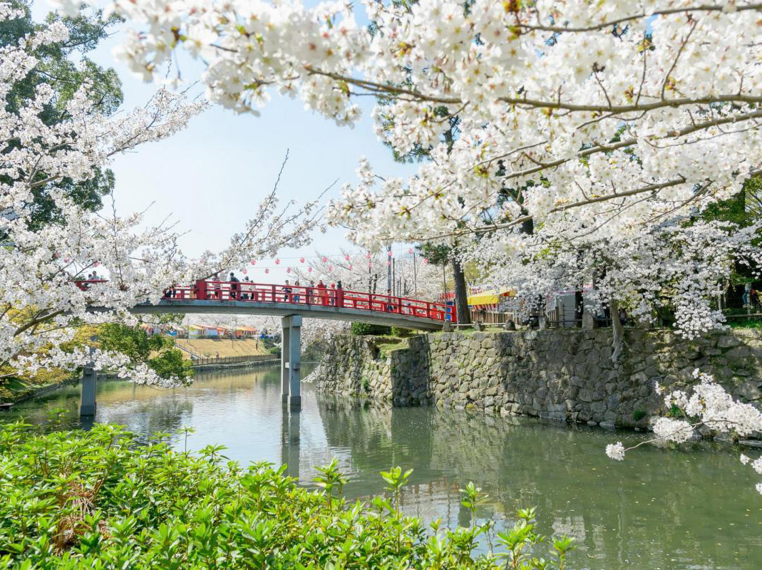 「岡崎の春」フォトコンテスト2019